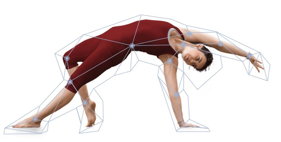 Articulations saines sans douleur avec l'hondirofrostgel