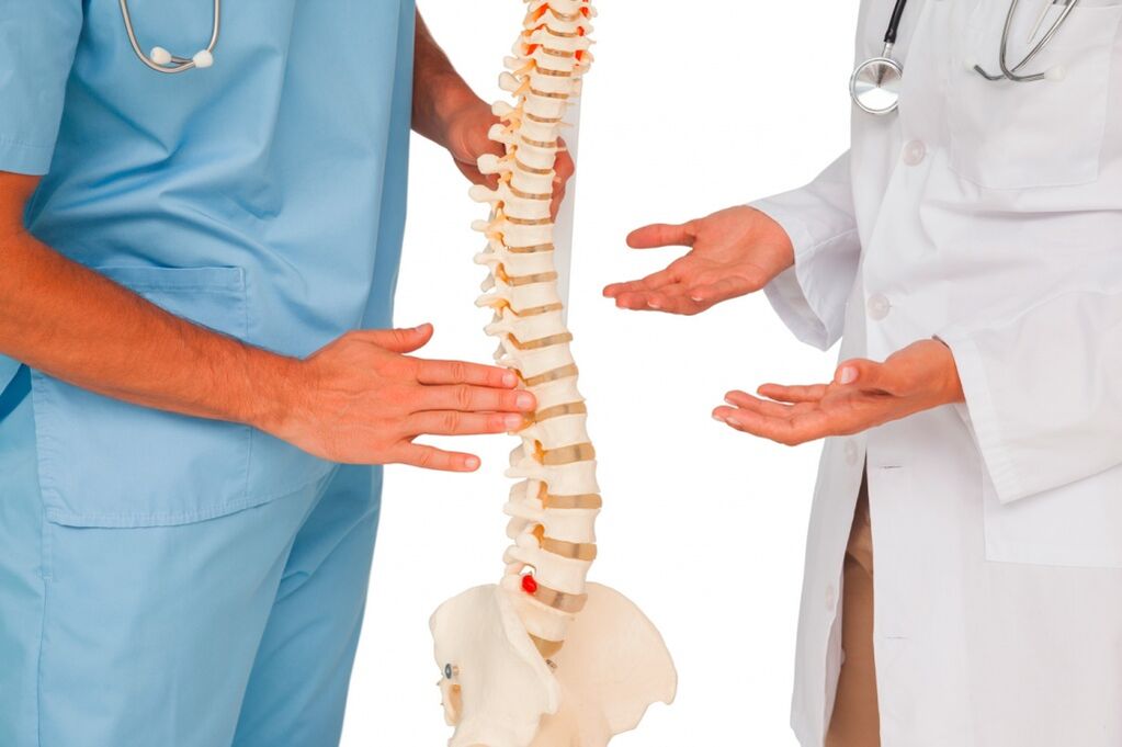 Le médecin montre la structure de la colonne vertébrale sur un modèle